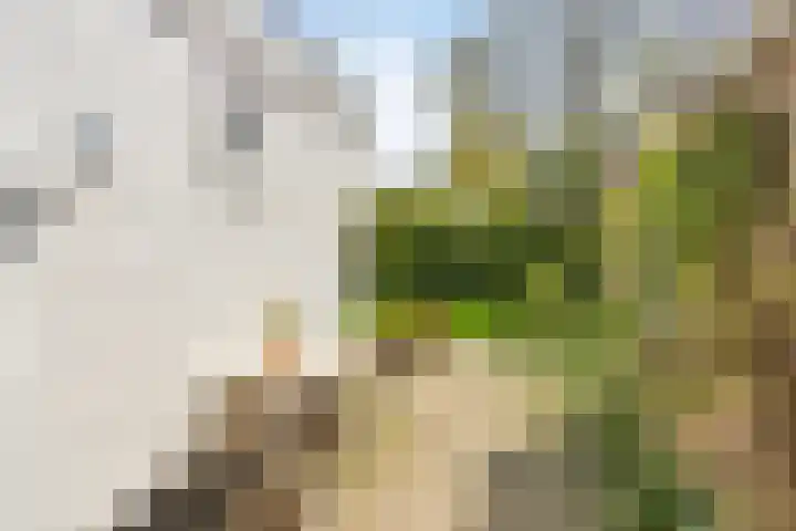 Stasjonsleane 8 Oudega thumbnail 5