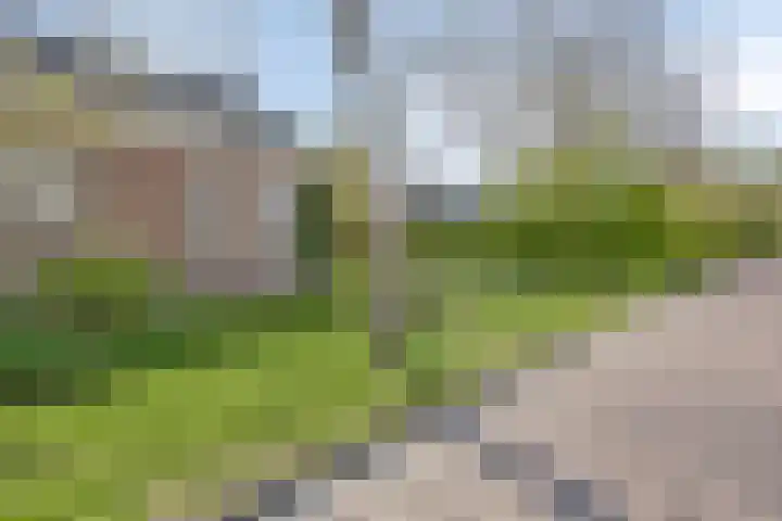 Stasjonsleane 8 Oudega thumbnail 51