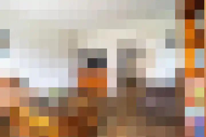 Stasjonsstrjitte 2 Minnertsga thumbnail 11
