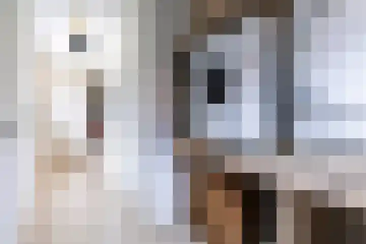 Stasjonsstrjitte 2 Minnertsga thumbnail 29