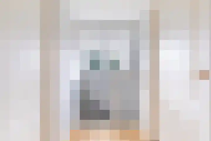 Stasjonsstrjitte 2 Minnertsga thumbnail 30