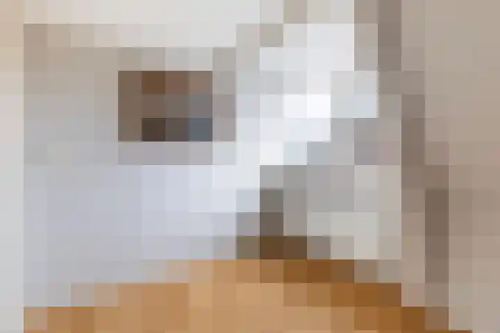 Stasjonsstrjitte 2 Minnertsga thumbnail 38