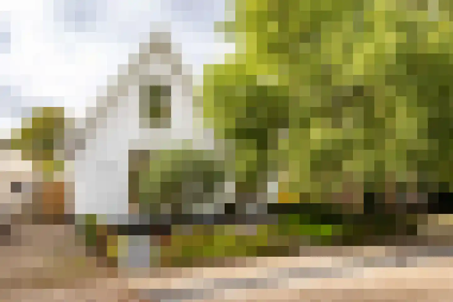 Stasjonsstrjitte 5 Minnertsga