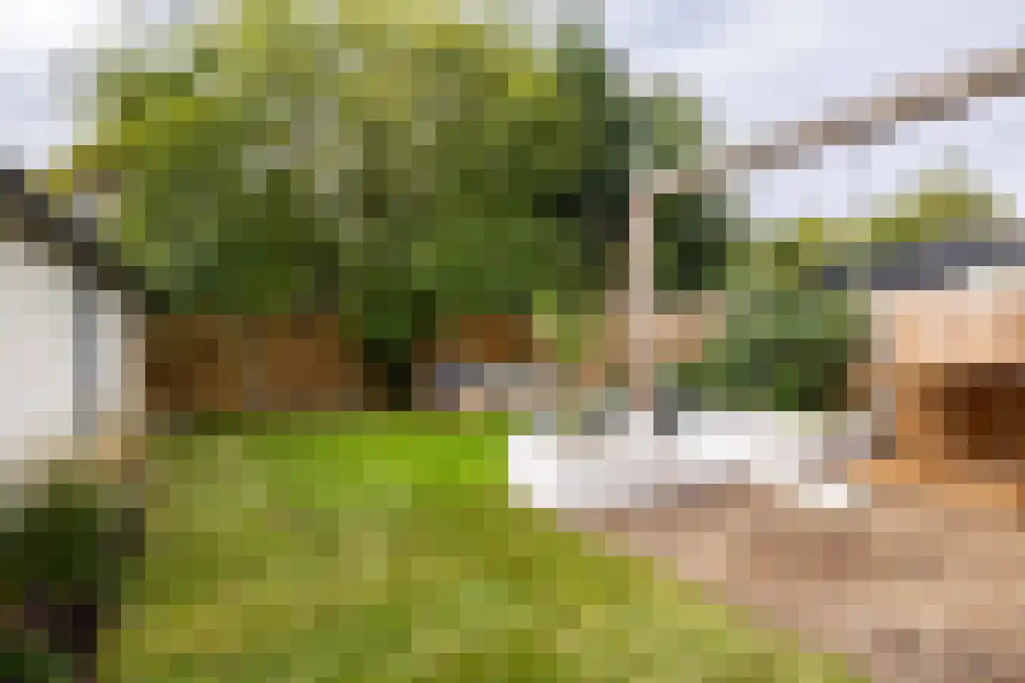 Stasjonsstrjitte 5 Minnertsga thumbnail 56