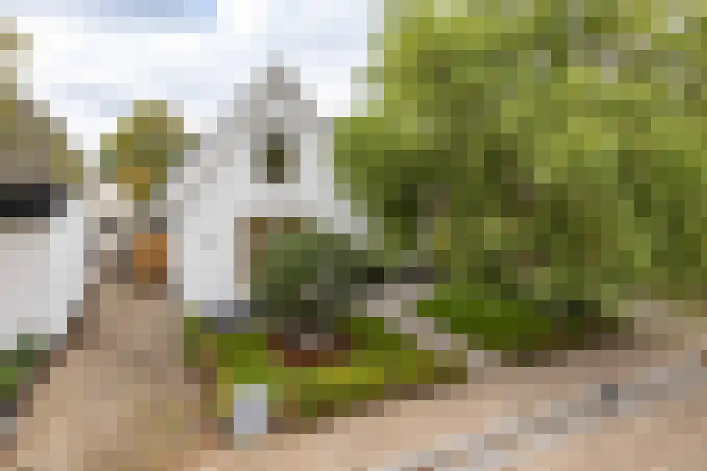 Stasjonsstrjitte 5 Minnertsga thumbnail 7