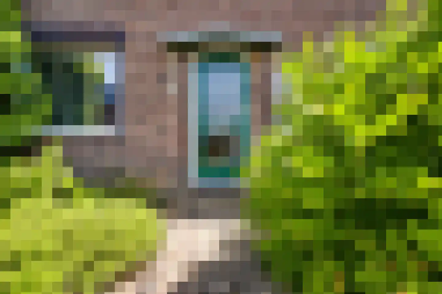 Stasstraat 31 Beek thumbnail 27