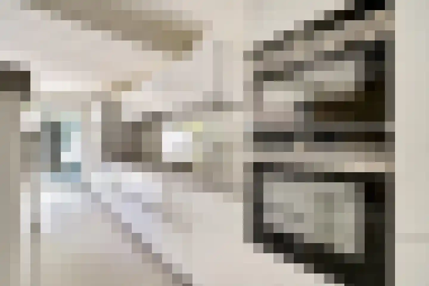 Stastokdreef 17 Utrecht thumbnail 18