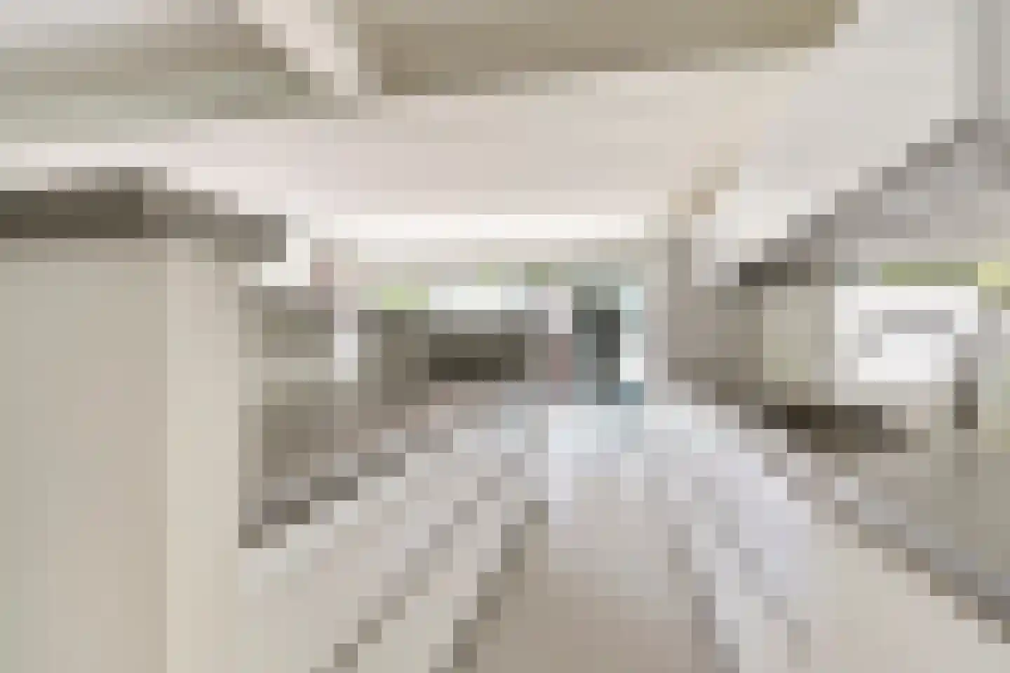 Stastokdreef 17 Utrecht thumbnail 19