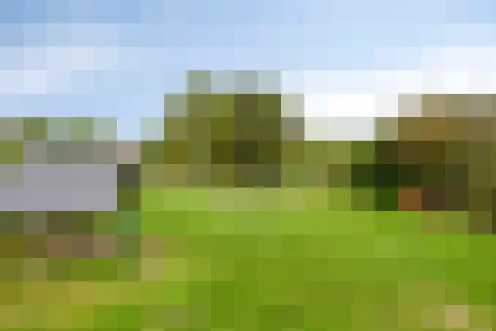 State 10 Veldhoven thumbnail 33