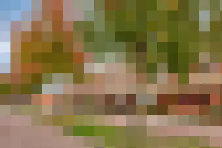 State 10 Veldhoven thumbnail 34