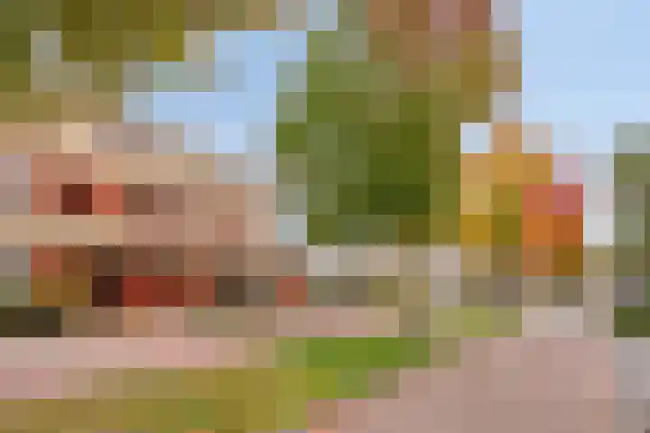 State 10 Veldhoven thumbnail 35