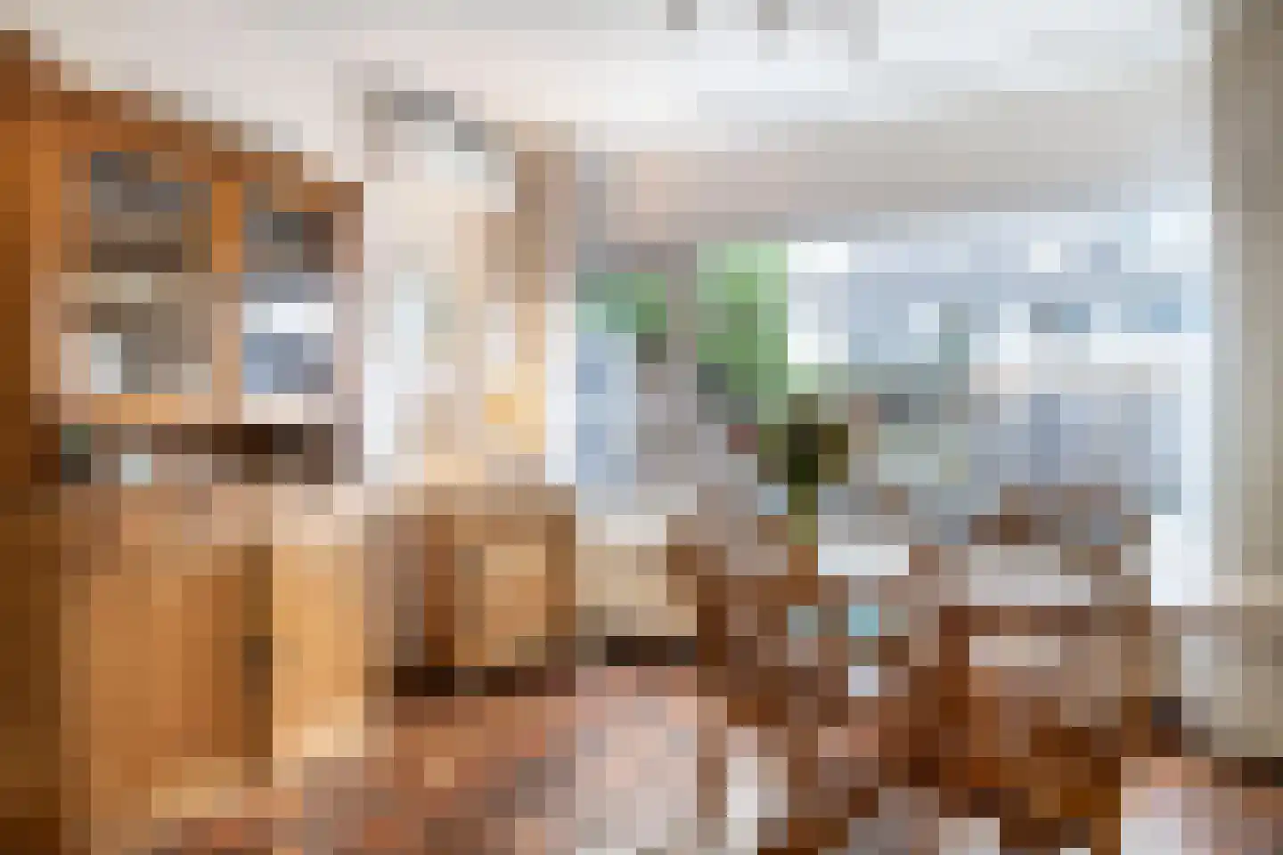 State 14 Veenendaal thumbnail 10