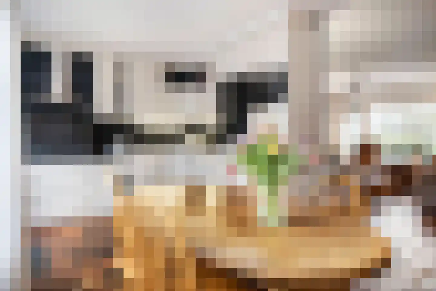 State 14 Veenendaal thumbnail 13