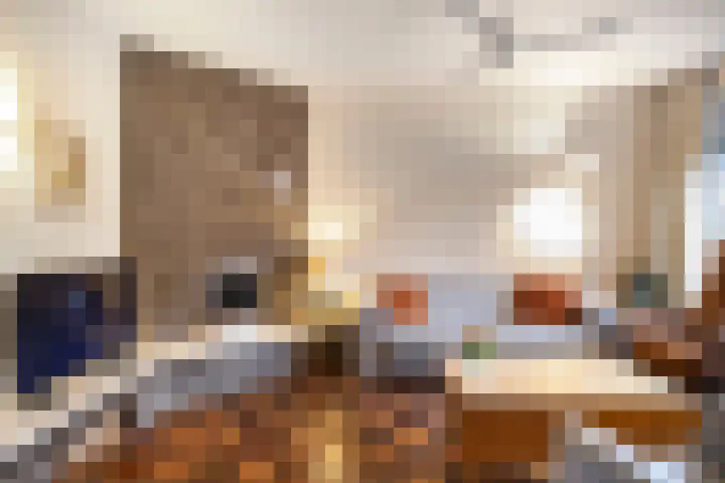 State 14 Veenendaal thumbnail 7