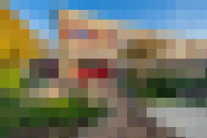 State 35 Veldhoven thumbnail 35