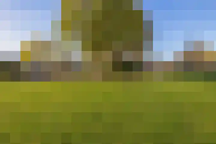 State 35 Veldhoven thumbnail 39