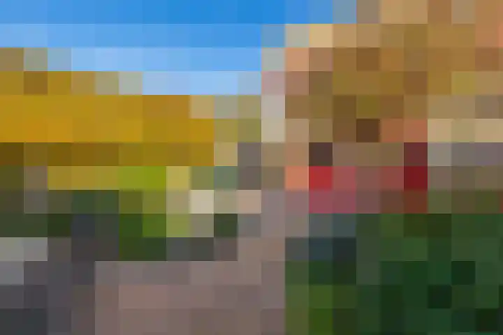 State 35 Veldhoven thumbnail 4