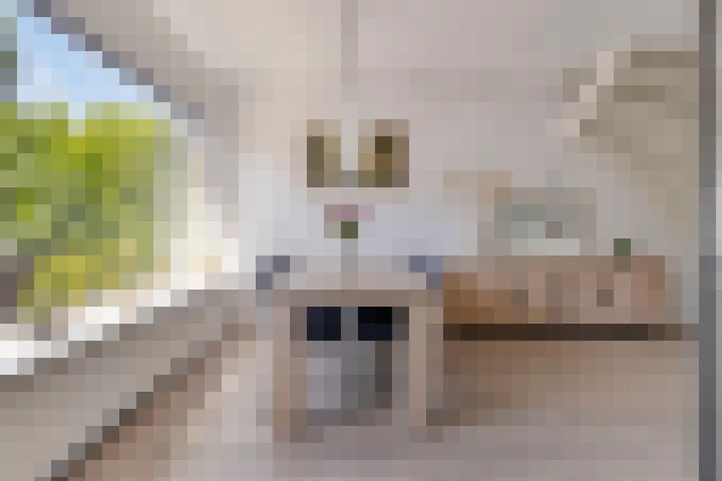 State 37 Veenendaal thumbnail 12