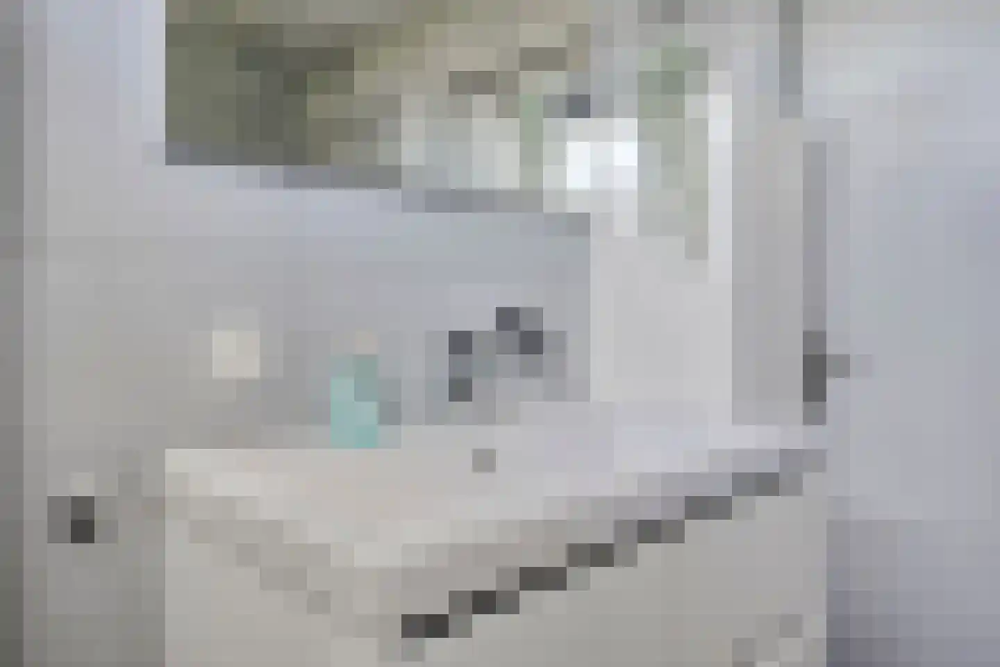 State 37 Veenendaal thumbnail 24