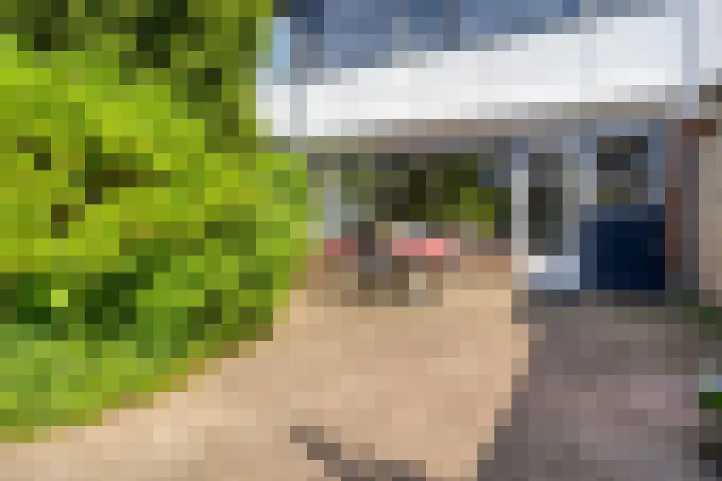 State 37 Veenendaal thumbnail 31
