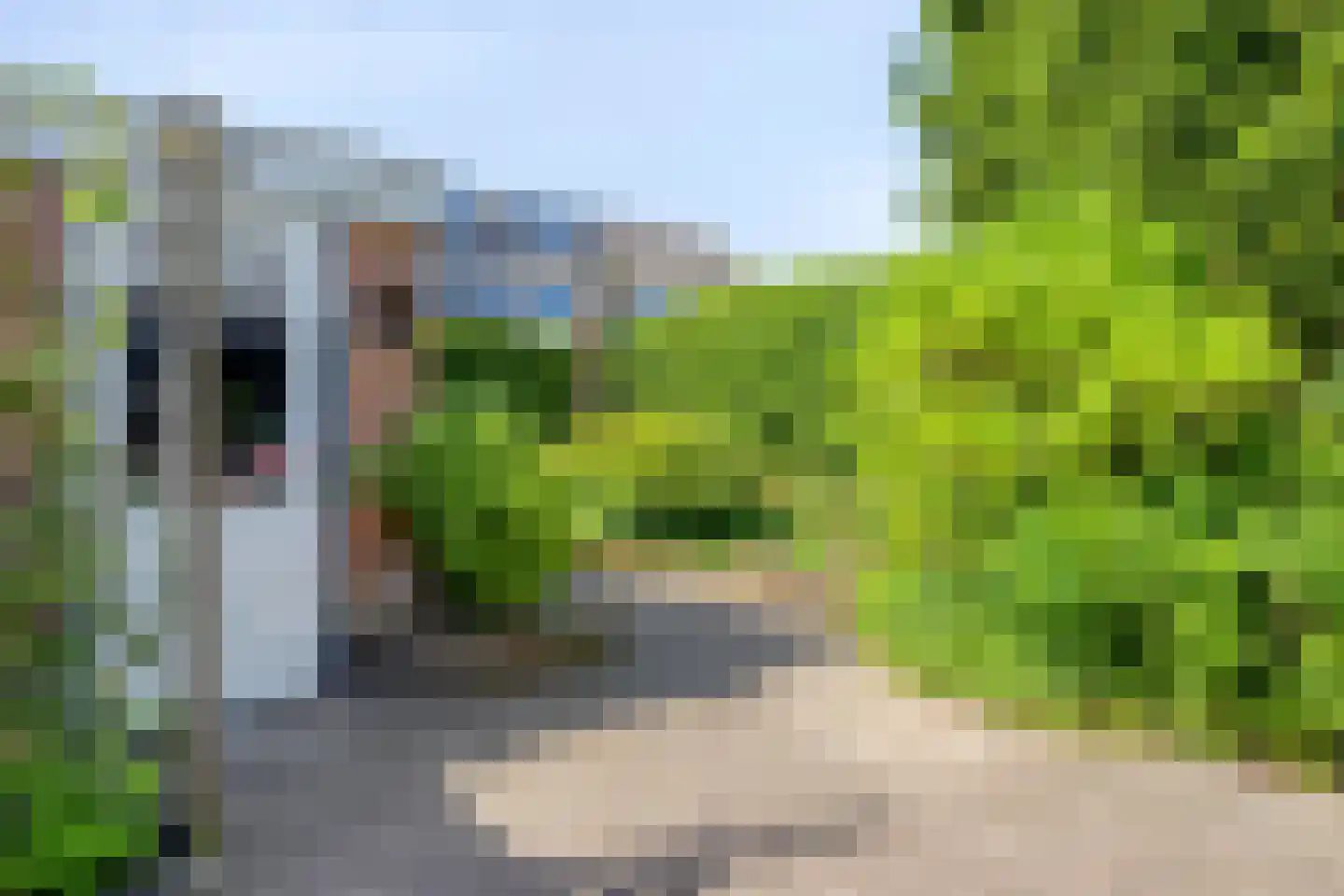 State 37 Veenendaal thumbnail 32