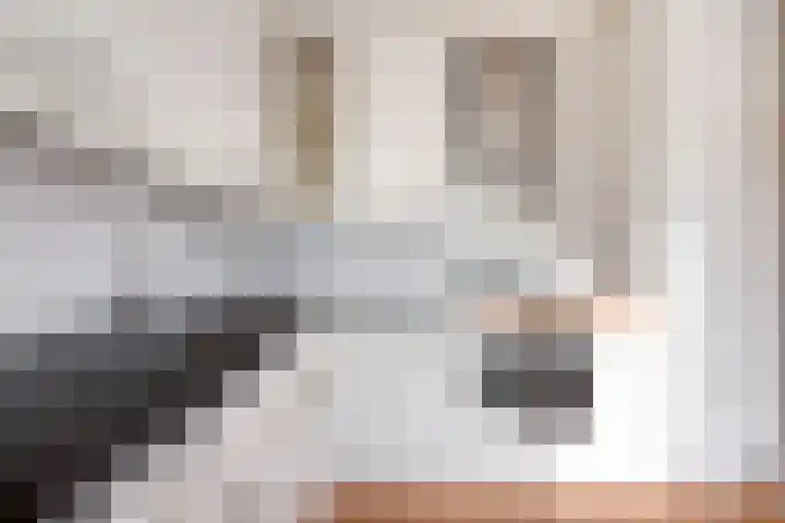 Stategaard 1 Maastricht thumbnail 10