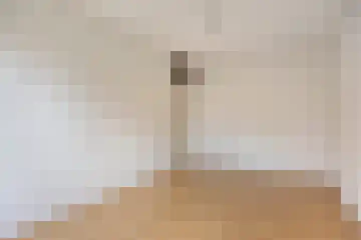 Stategaard 1 Maastricht thumbnail 14