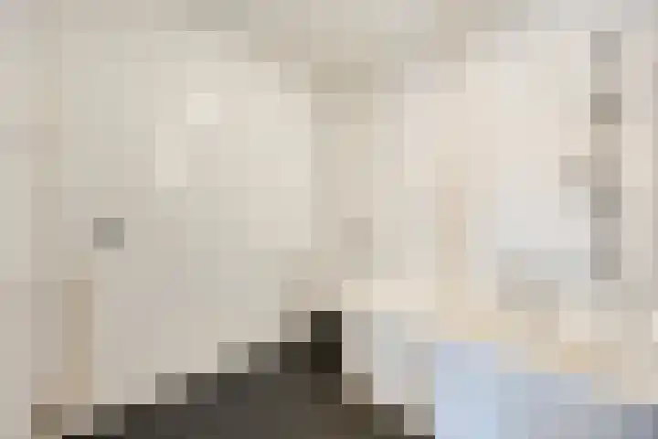 Stategaard 1 Maastricht thumbnail 17