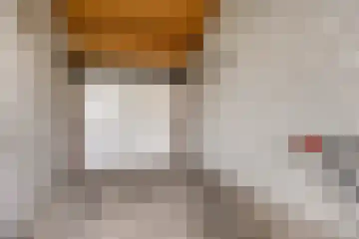 Stategaard 1 Maastricht thumbnail 24
