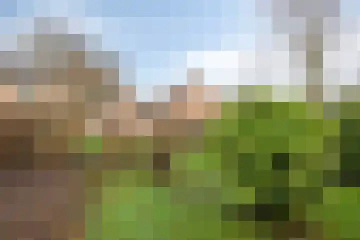 Stategaard 1 Maastricht thumbnail 29