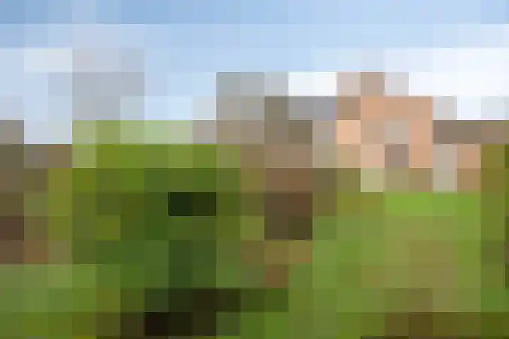 Stategaard 1 Maastricht thumbnail 30