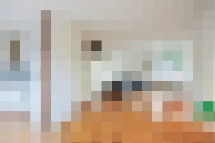 Stategaard 59 Maastricht thumbnail 5