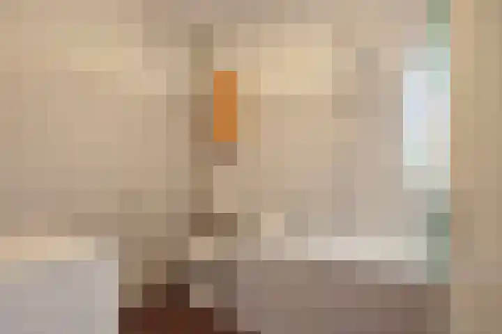 Stategaard 59 Maastricht thumbnail 9