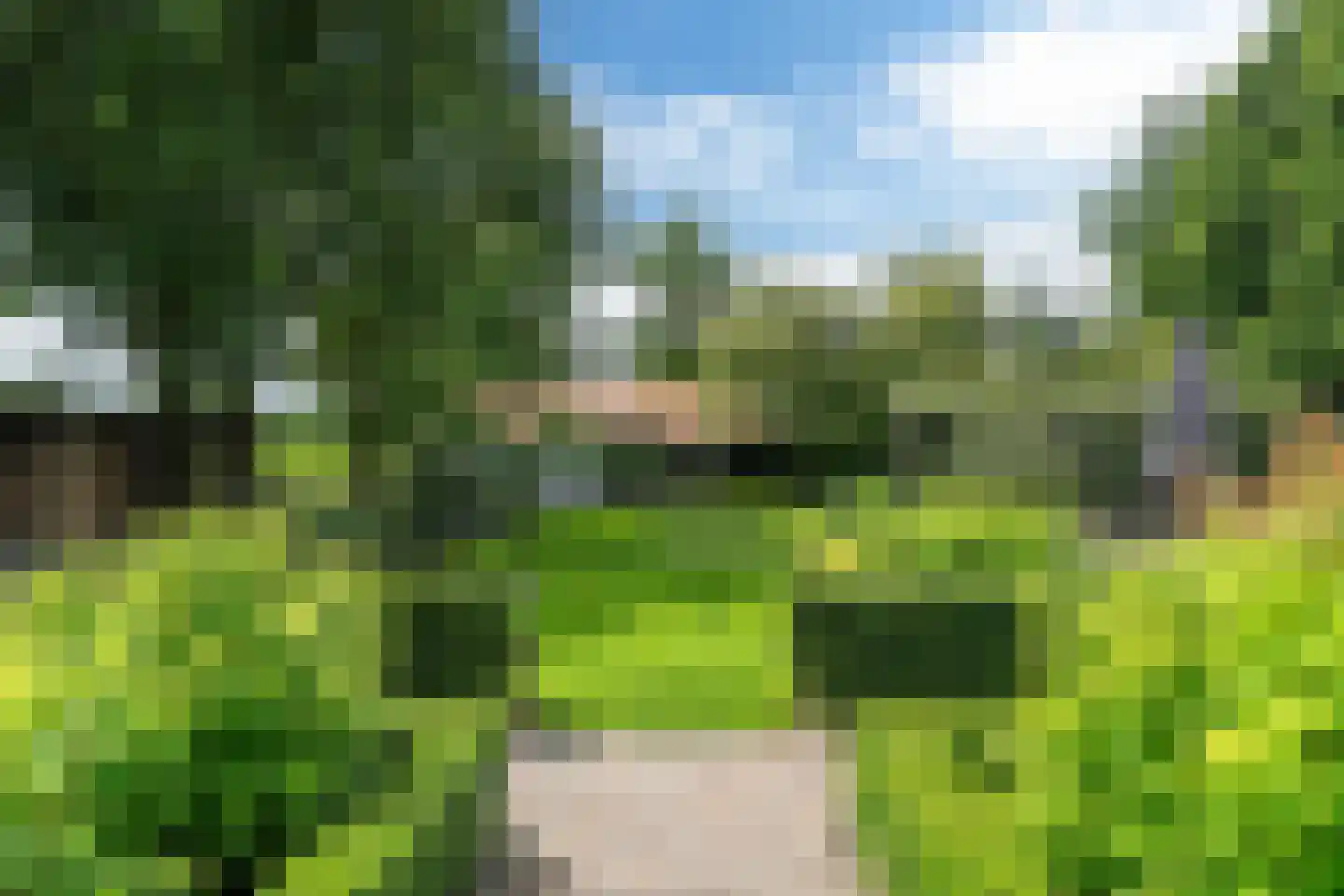 Stateheide 34 Noardburgum thumbnail 45