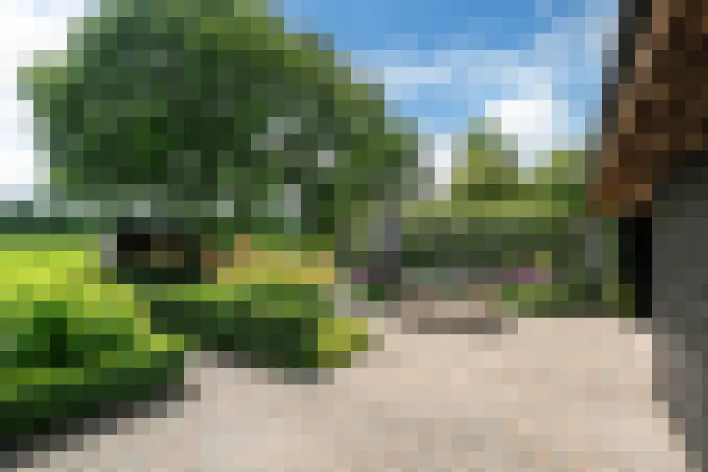 Stateheide 34 Noardburgum thumbnail 46