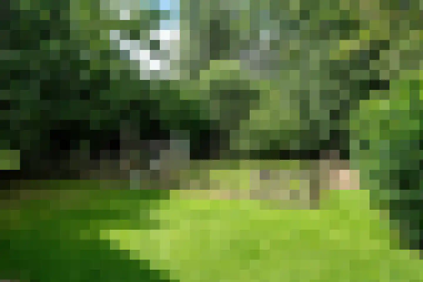 Stateheide 34 Noardburgum thumbnail 52