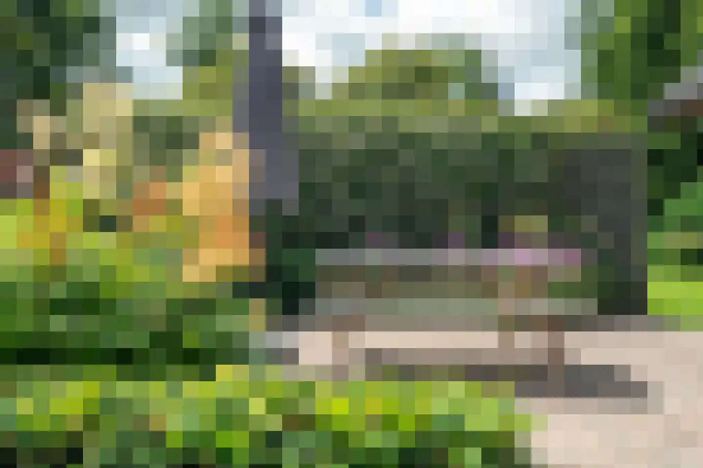 Stateheide 34 Noardburgum thumbnail 54
