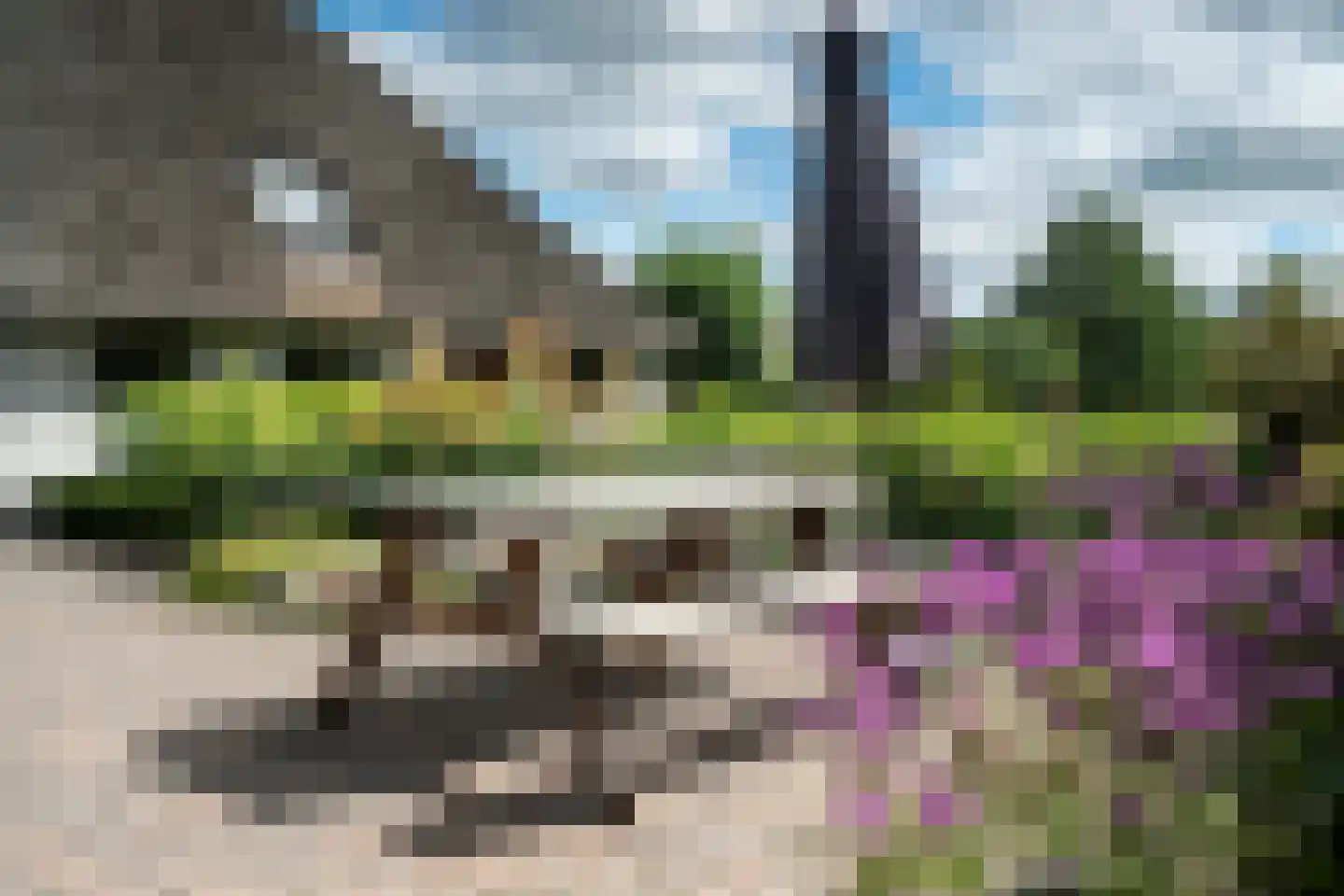 Stateheide 34 Noardburgum thumbnail 55