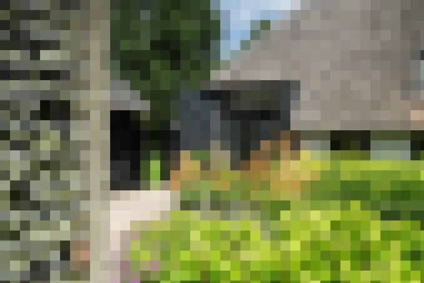 Stateheide 34 Noardburgum thumbnail 56