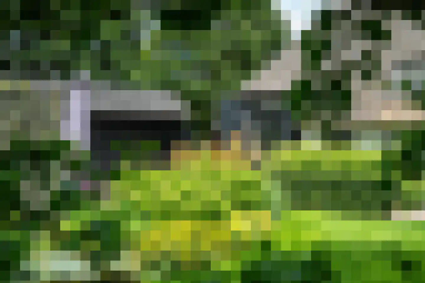 Stateheide 34 Noardburgum thumbnail 57