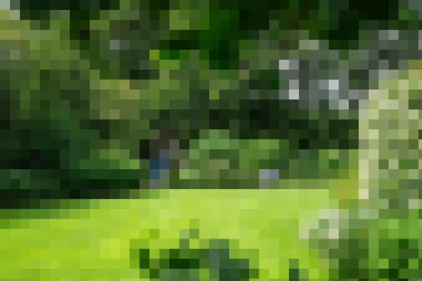 Stateheide 34 Noardburgum thumbnail 61