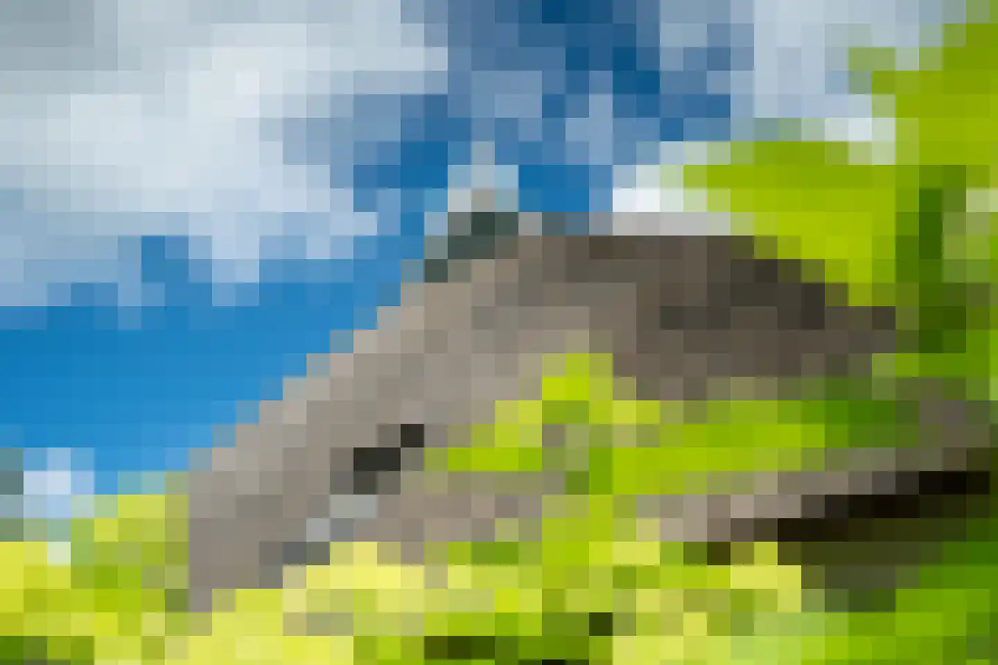Stateheide 34 Noardburgum thumbnail 62