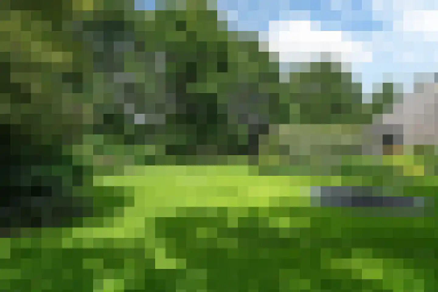Stateheide 34 Noardburgum thumbnail 64