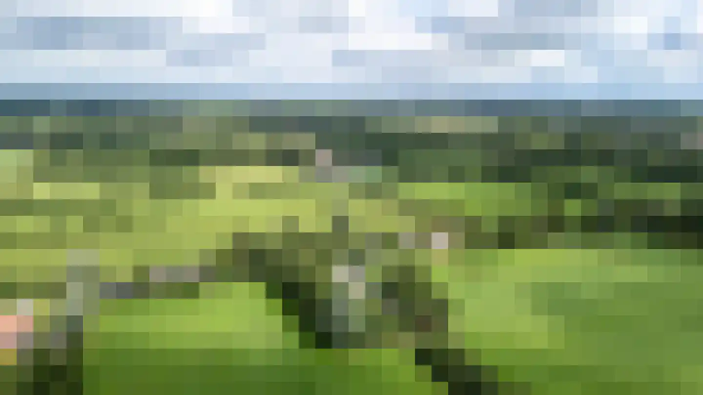 Stateheide 34 Noardburgum thumbnail 70