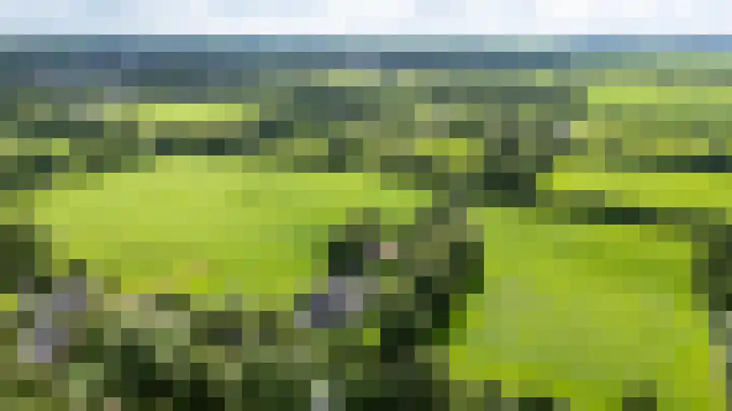 Stateheide 34 Noardburgum thumbnail 73