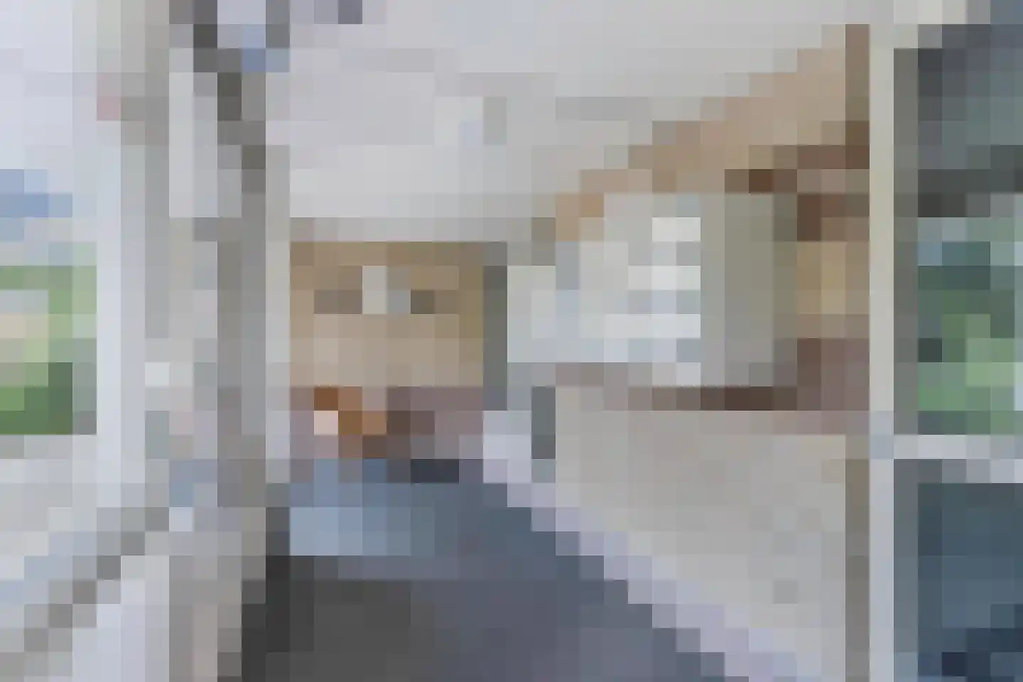 Statehof 17 Emmeloord thumbnail 11