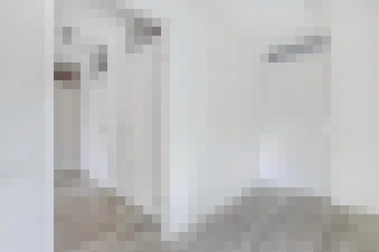 Statehof 17 Emmeloord thumbnail 16