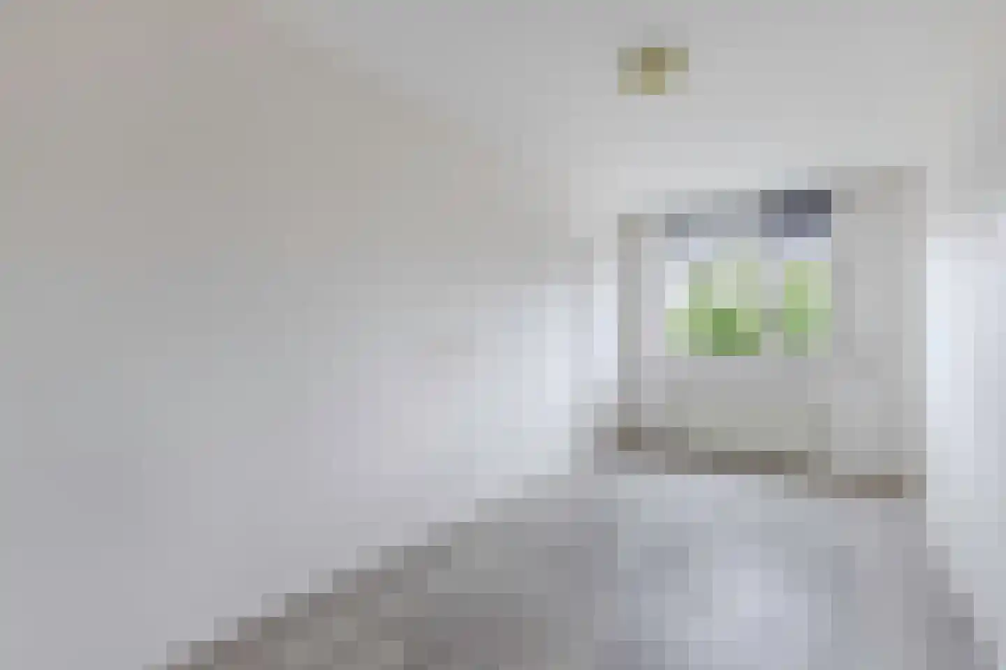 Statehof 17 Emmeloord thumbnail 28