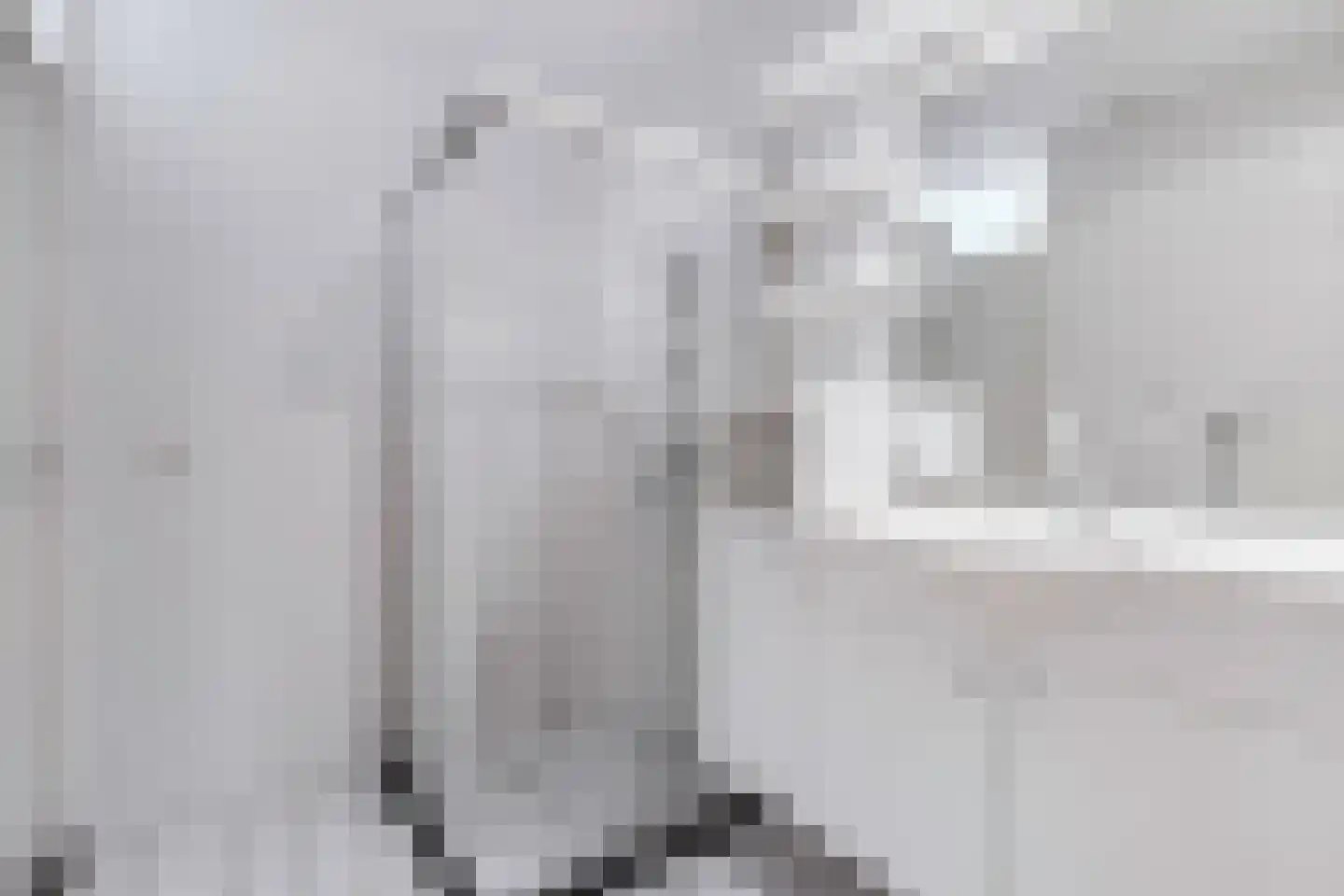 Statehof 17 Emmeloord thumbnail 31