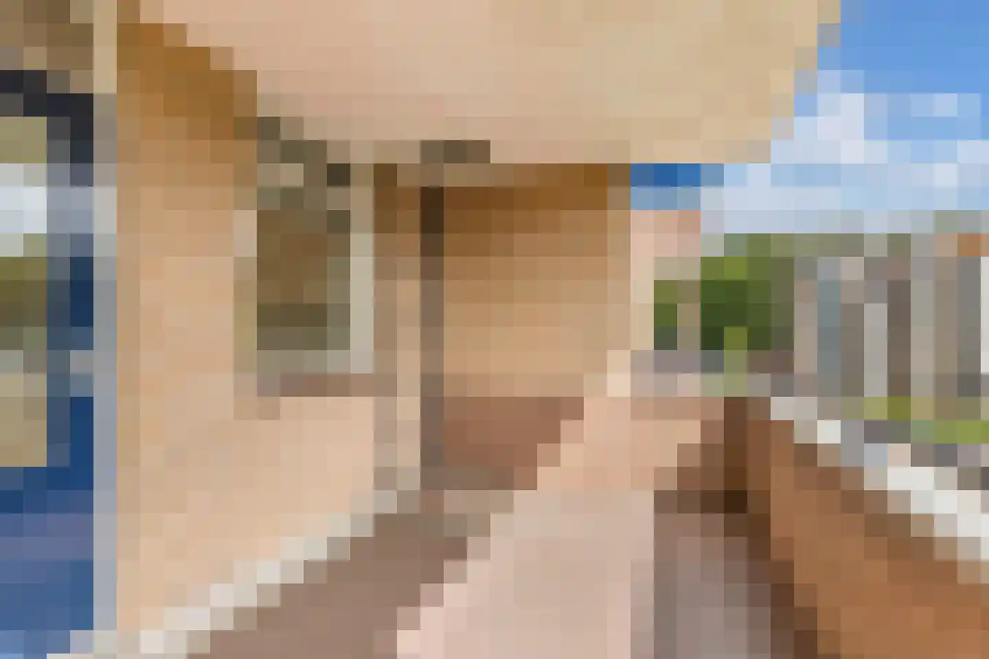 Statehof 17 Emmeloord thumbnail 34
